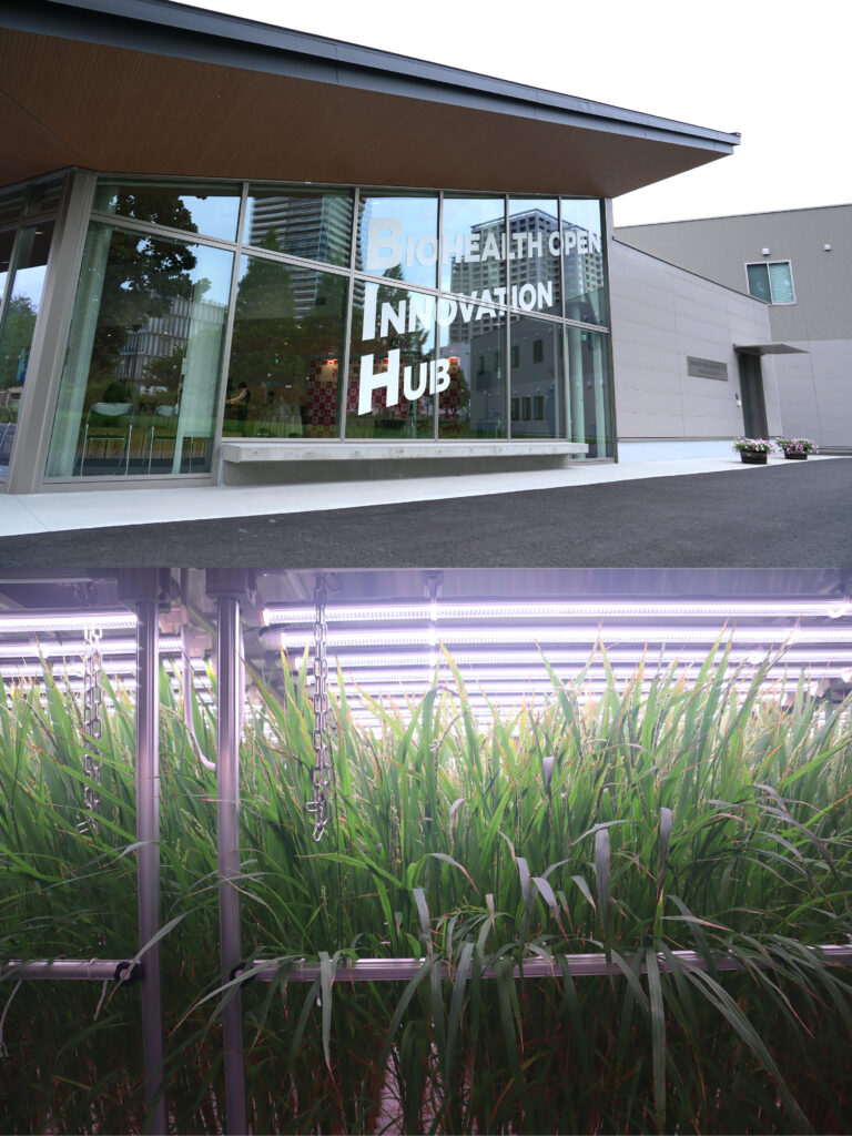 柏の葉キャンパスのBIH（上）には、飲むワクチン「ムコライス」を生産する植物工場（下）やレンタルラボなどがある